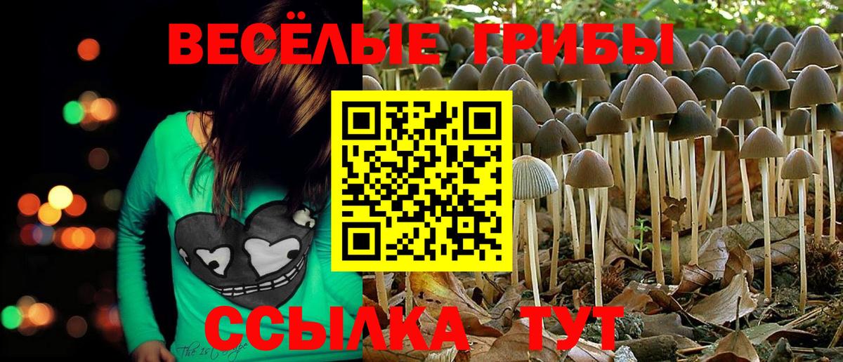 Галлюциногенные грибы ЛСД Сухой Лог