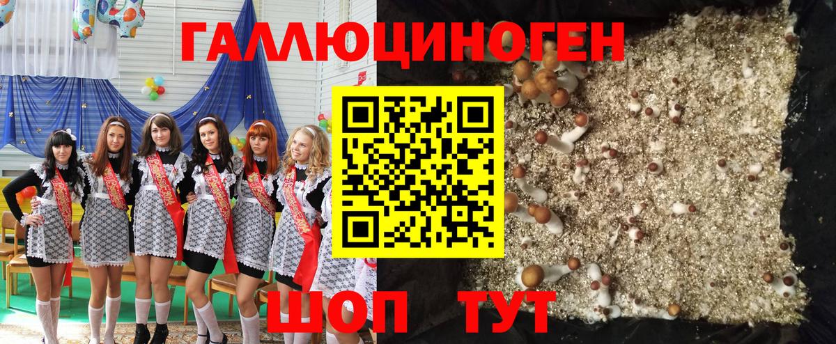 Псилоцибиновые грибы ЛСД  Вход с VPN  Сухой Лог 